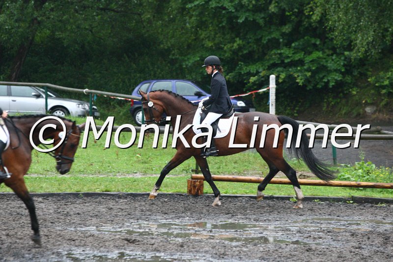 007L6897_Veronique_Dresspferde A.JPG